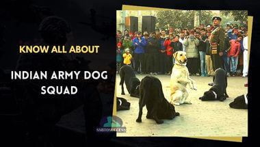 Know All About Indian Army Dog Squad